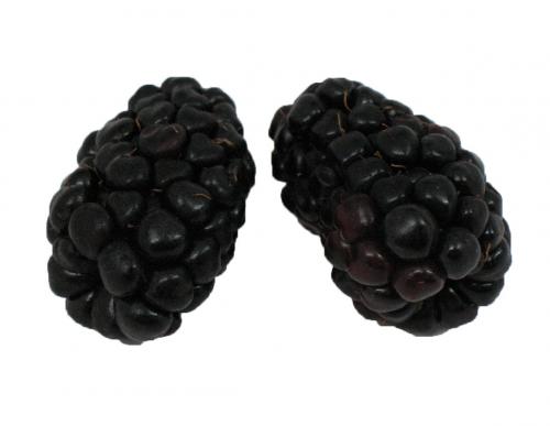 Berries, Blackberry
