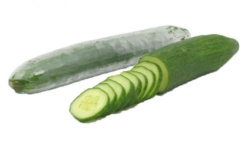 Cucumber, Seedless