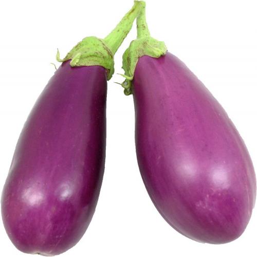 Eggplant, Neon