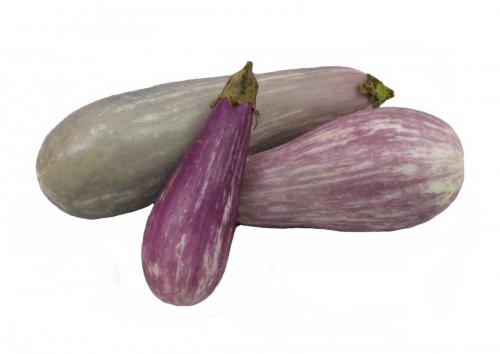 Eggplant, Variety 4