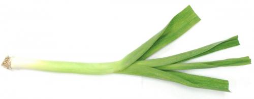 Garlic, Green