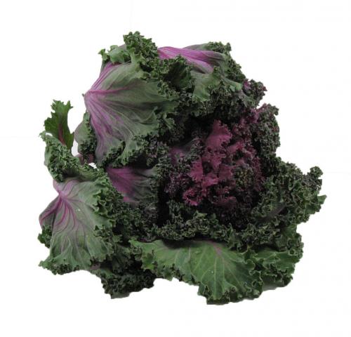 Cabbage, Red