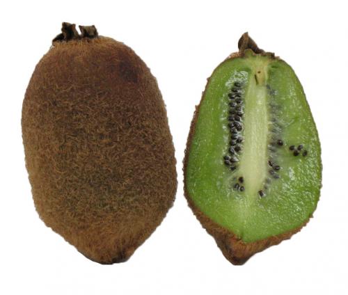Kiwi