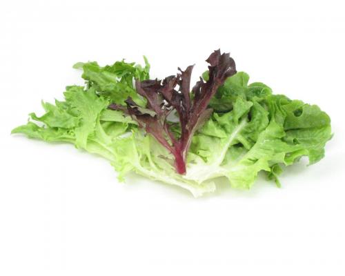 Lettuce