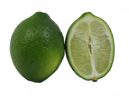 Limes