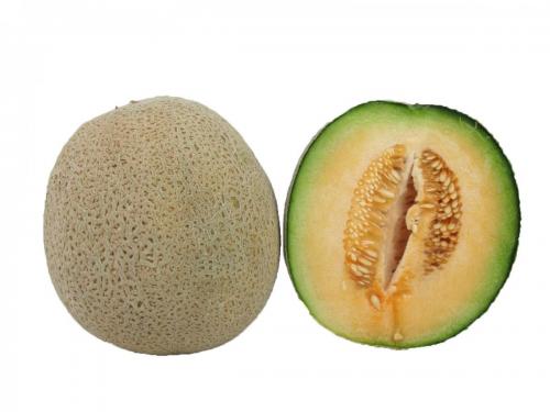 Melons, Cantaloupe