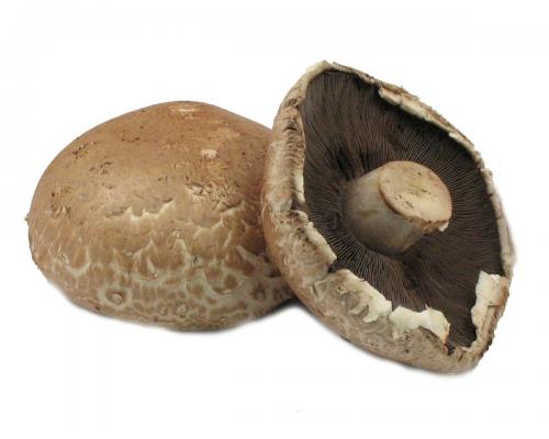 Mushroom, Portabella Cap