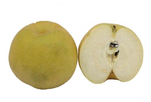 Pear, Asian