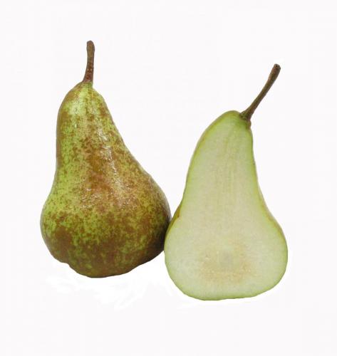 Pear, Bosc