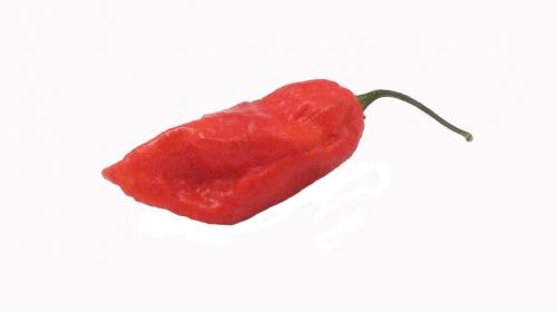 Pepper, Ghost Chile, Single