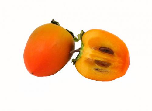 Persimmon