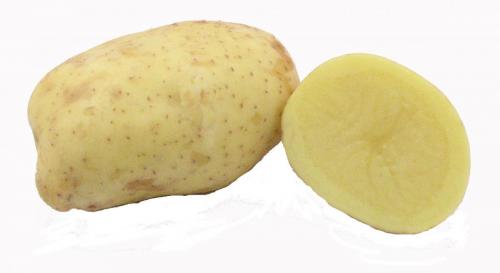 Potato, Yukon Gold