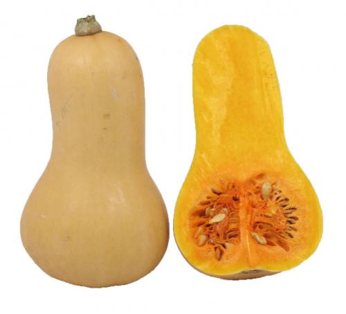 Squash