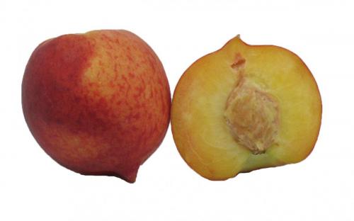 Stonefruit, Peach