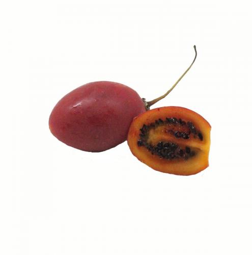 Tamarillo