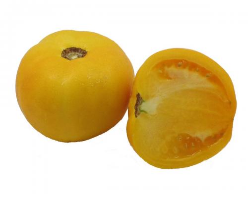Tomato, Yellow