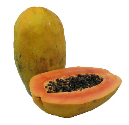 Tropical, Papaya, Maradol